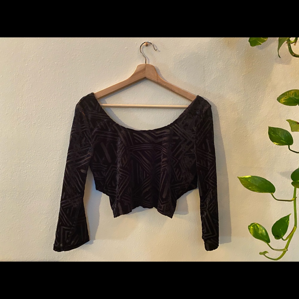 Sparkle & Fade Velour Elegant Open-Back Crop - image 1